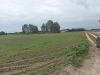 Bałdowo w gminie  Lipno ziemia   bezpośrednio budowlaną rolna sprzedam