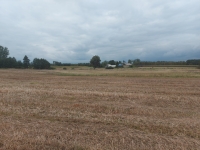Bałdowo w gminie  Lipno ziemia   bezpośrednio budowlaną rolna sprzedam