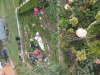 Świecie Chełmno szkółka roślin berberys w donicy koszenie trawników