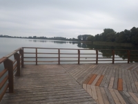 Chełmża  Mirakowo Zalesie jezioro działki 100 metrów od plaży i pomostu