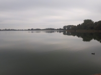 Jezioro Chełmżyńskie Bydgoszcz JEZIORO PLAŻA  STARODRZEW