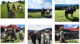 Wałbrzych Jelenia Góra nauka jazdy konnej wypoczynek na Słowacji duchowość warsztaty