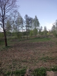 Nowa wieś w gminie Nowy Duninów siedlisko 5,57 ha w obniżonej cenie okazja