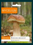 Olsztyn Borowik Brzozowy - Grzybnia grzybów leśnych